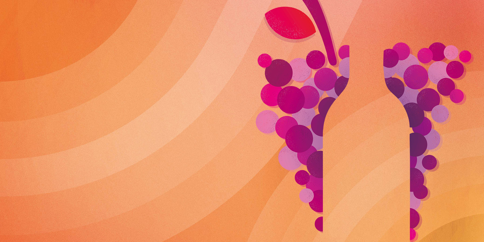 bandeau home salon du vin 2025